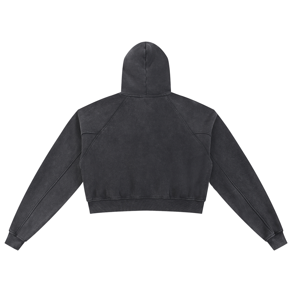 Snow Washed Cropped Hoodie